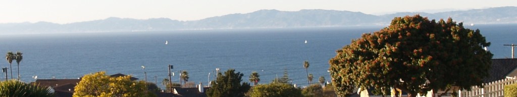 View with trees