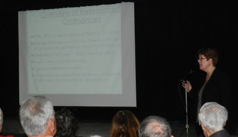 Linda Cessna covers the implications of an ordinance