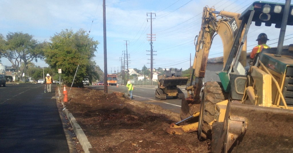 The tall eucalyptus trees closest to the road had to go to accommodate the new guardrail. 
